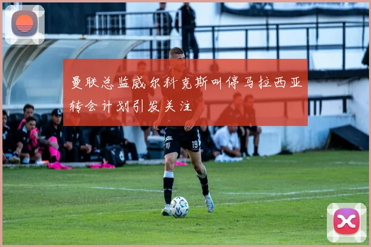 曼联总监威尔科克斯叫停马拉西亚转会计划引发关注